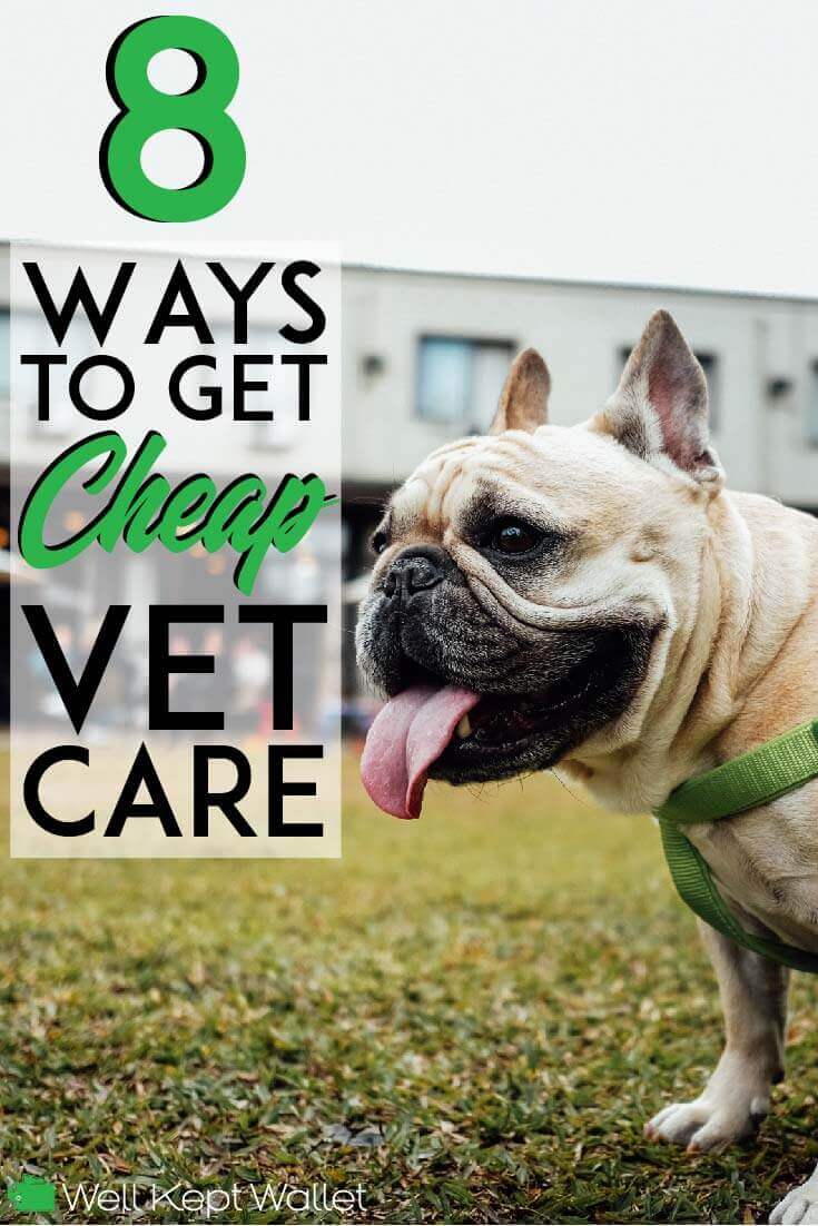 8 Ways to Get Cheap Vet Care Near Me [2020 Update]
