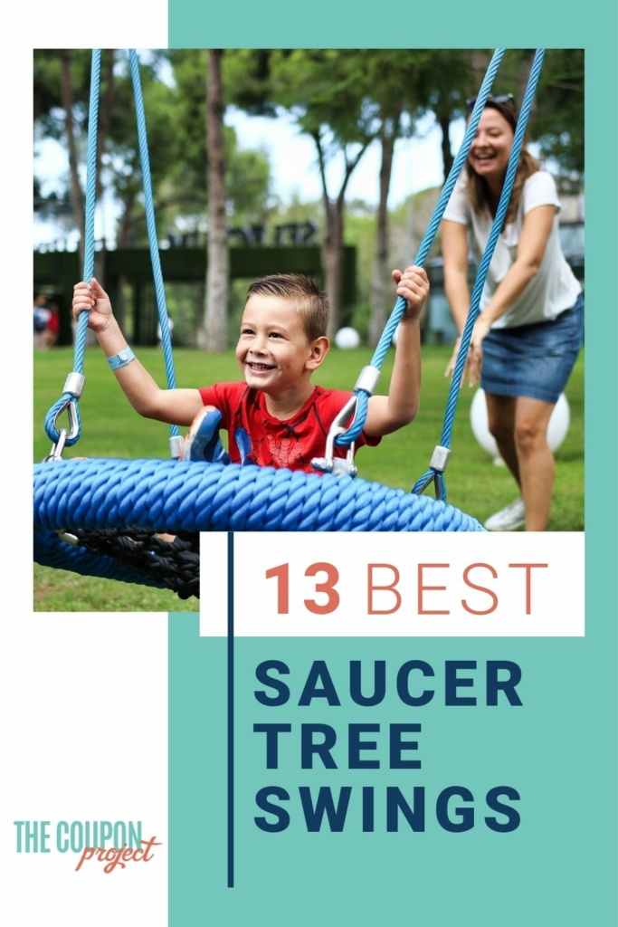 13 Best Saucer Tree Swings
