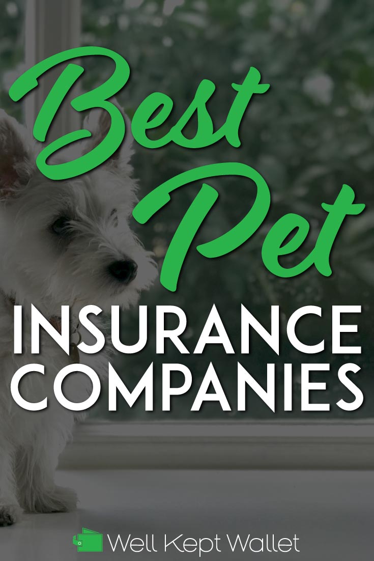 10 Best Pet Insurance Companies in 2022 Well Kept Wallet
