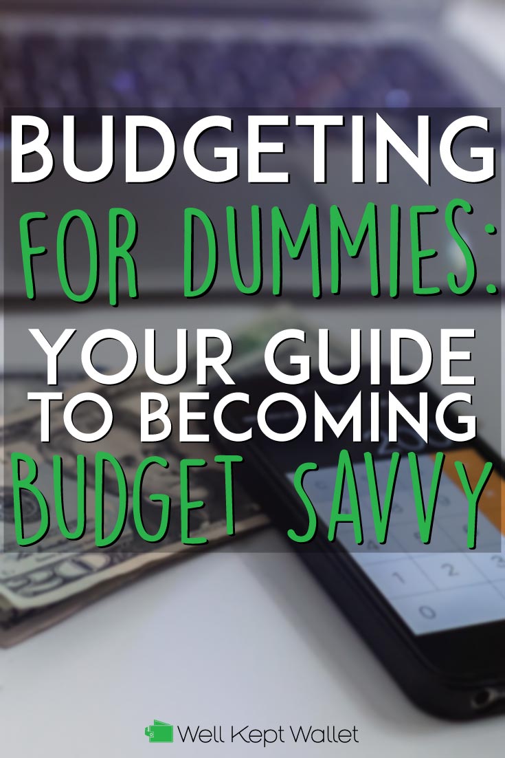 budgetting home and finances for dummies