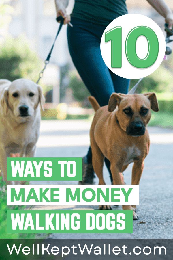 10 Best Dog Walking Apps To Get Paid To Walk Dogs in 2024
