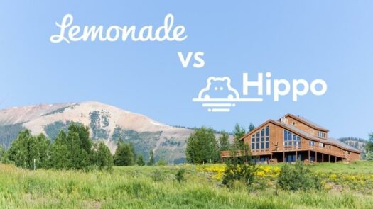 Lemonade vs Hippo Home Insurance