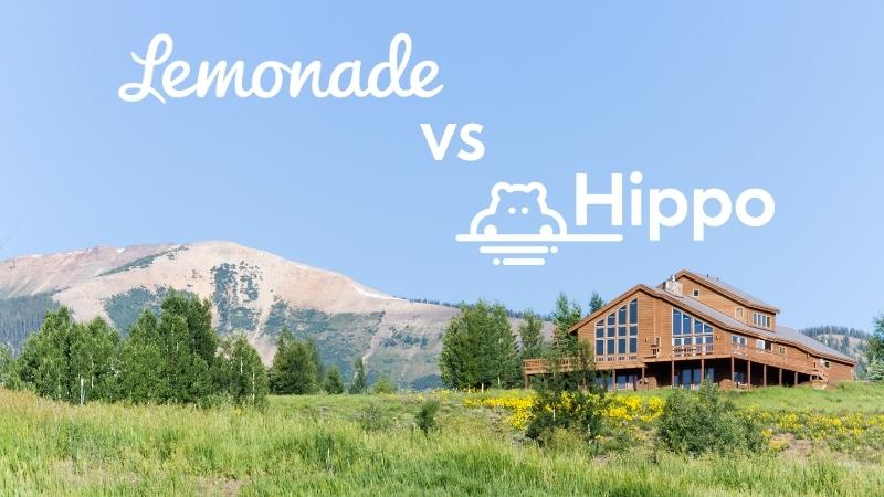 Lemonade vs Hippo Featured Image
