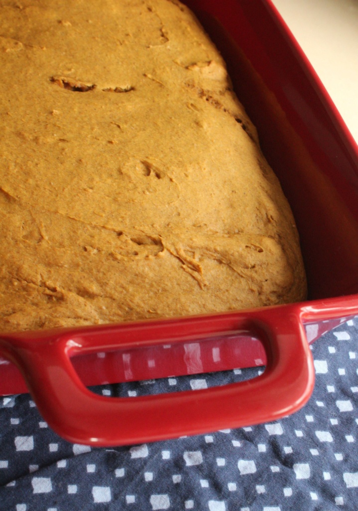 easy pumpkin spice cake recipe