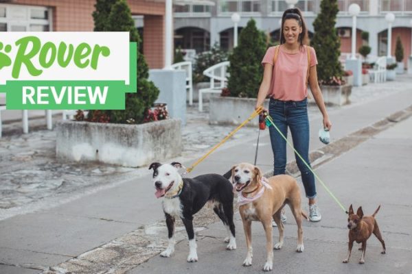 Rover review