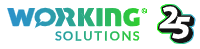 working solutions logo