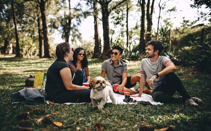 Group of friends on a picnic in a park with the dog having fun