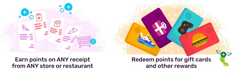 how to earn points with fetch rewards