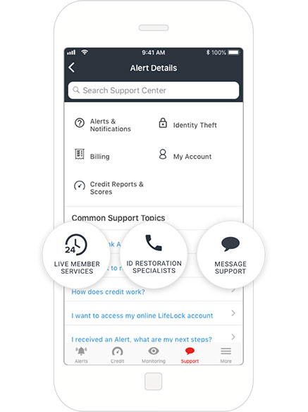 LifeLock mobile app with alert details
