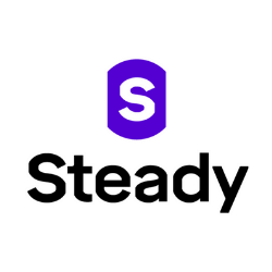 Steady logo