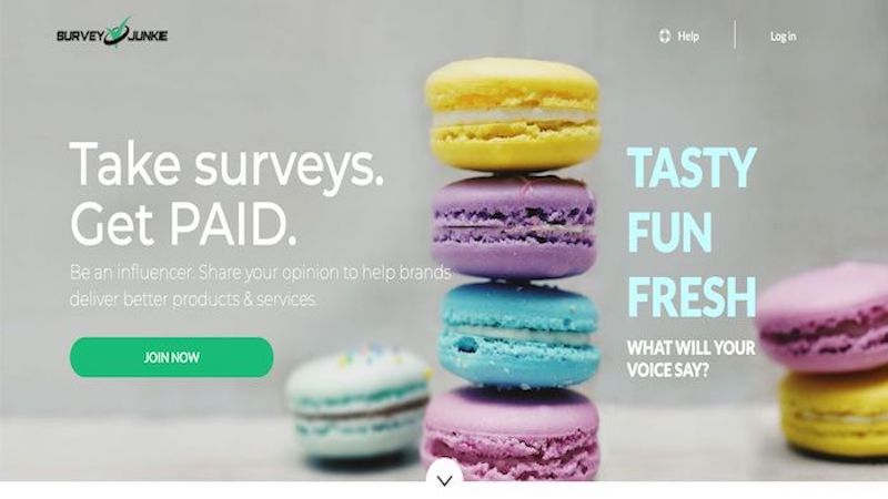 survey junkie homepage