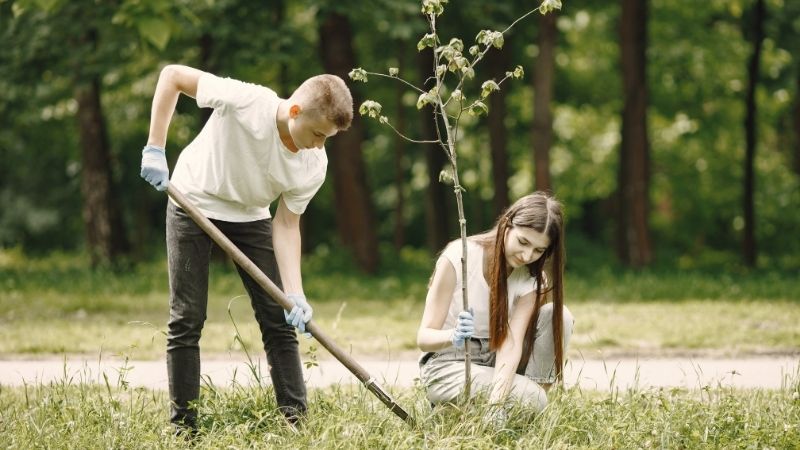 teen landscaping