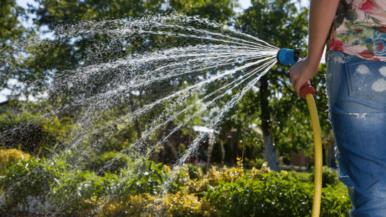 teen watering grass